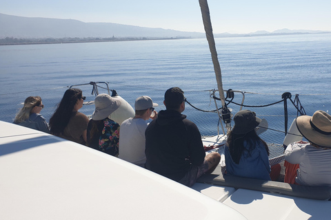 Athens: Riviera Catamaran Tour with Meal and Drinks Alimos: Athens Riviera Catamaran Tour with Food and Drinks