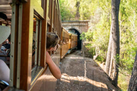 Mallorca: eilandtocht per boot en trein vanuit het zuidenMallorca: eilandtour per boot en trein vanuit het zuiden