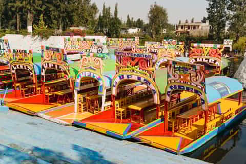 Mexico City: Xochimilco, Casa Azul, Coyoacán & UNAM Tour