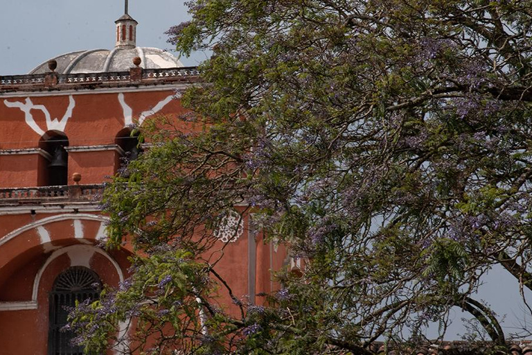 من توكستلا: تشياباس، ناتوراليزا، كولتورا واي ماجيا جويادو