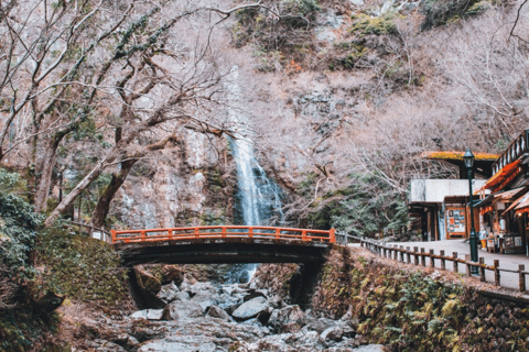 3-dniowa wycieczka do Kioto, Nara i Osaki z przewodnikiem i luksusowym pojazdem