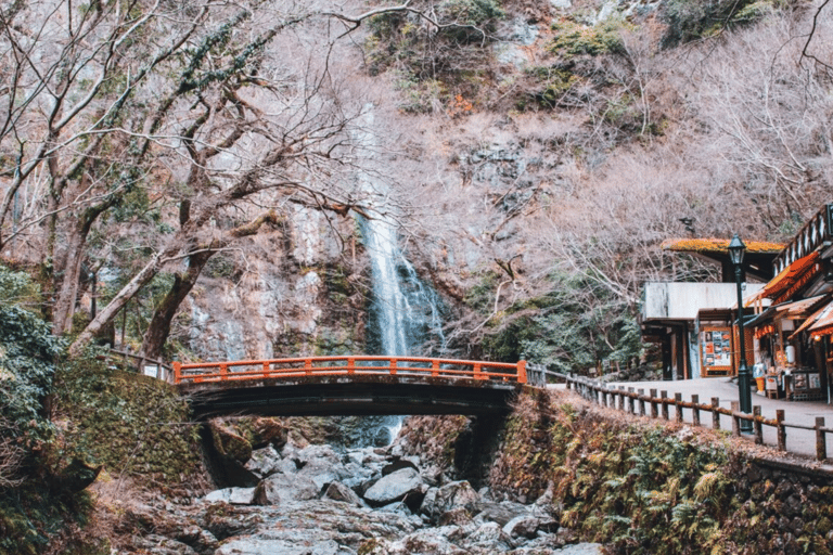 3-dniowa wycieczka do Kioto, Nara i Osaki z przewodnikiem i luksusowym pojazdem