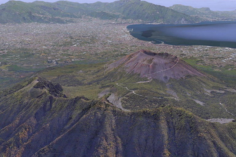 Pompeii: Private Guided Tour with Herculaneum – 3 Options Pompeii Herculaneum & Naples