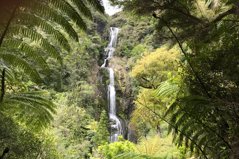 Piha e Karekare - Tour privato fuori AucklandTour privato guidato in lingua tedesca