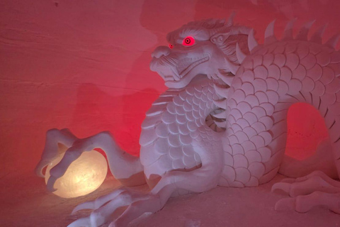 Levi: Private Snow Village tour. Northern lights possibility