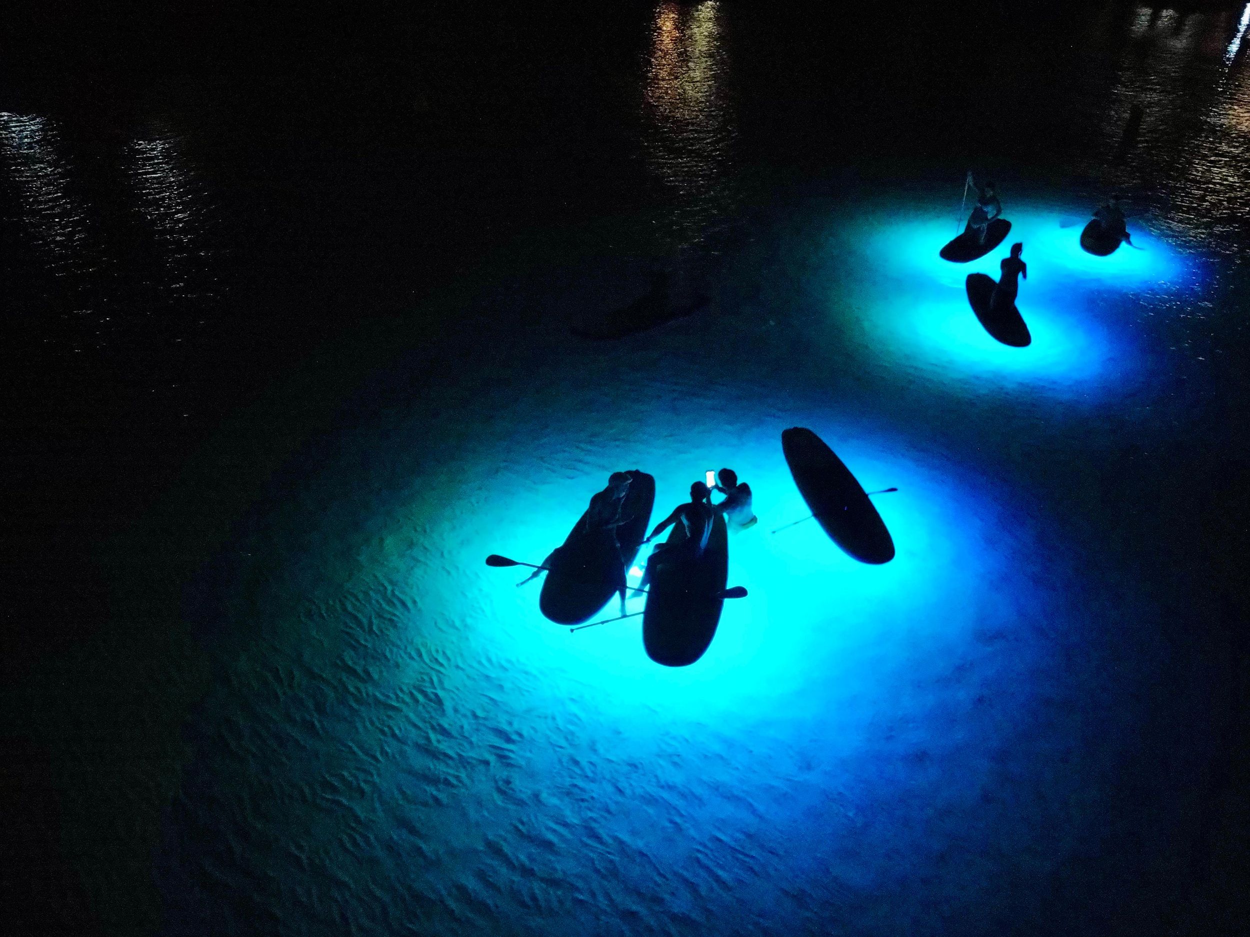 Paddle surf al atardecer con luces LED en la playa de Barcelona