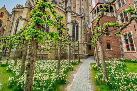 Bruges: Backstage Pass City Tour with Chocolate & Waffles