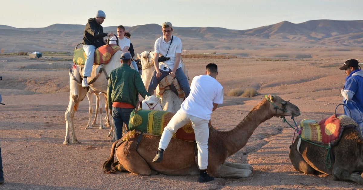 De Marrakesh Jantar Show E Passeio De Camelo No Deserto De Agafay