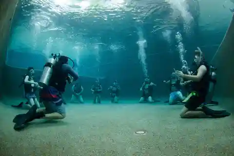 Cairns: 4-Day PADI Open Water Course