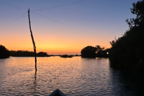 Ecoturismo y pesca en el manglar natural de Cartagena