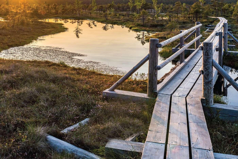 Sunrise Tour To Great Kemeri Bog