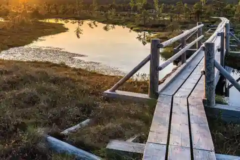 Excursion au lever du soleil dans la tourbière de Kemeri