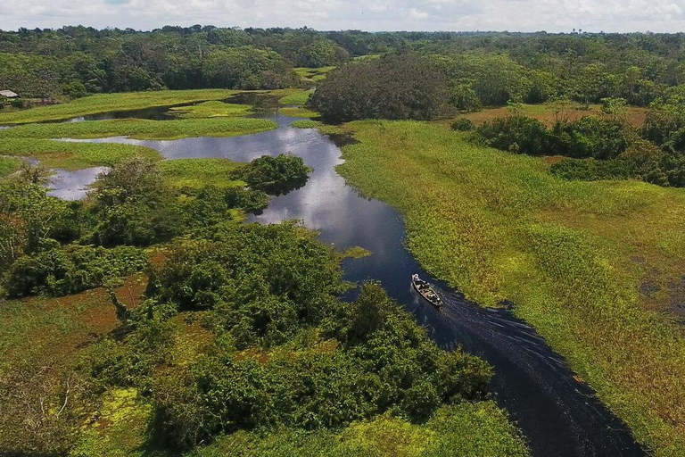 Iquitos: Amazon River and Tribes Day Trip