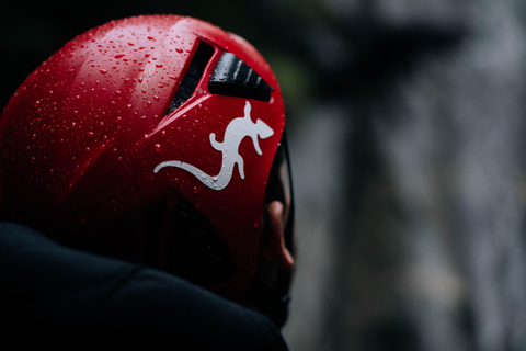 Canyoning Queralbs (Girona)