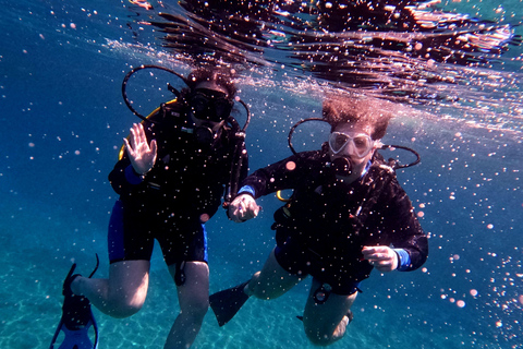 Paphos: Entdecken Sie das Tauchen mit Abholung