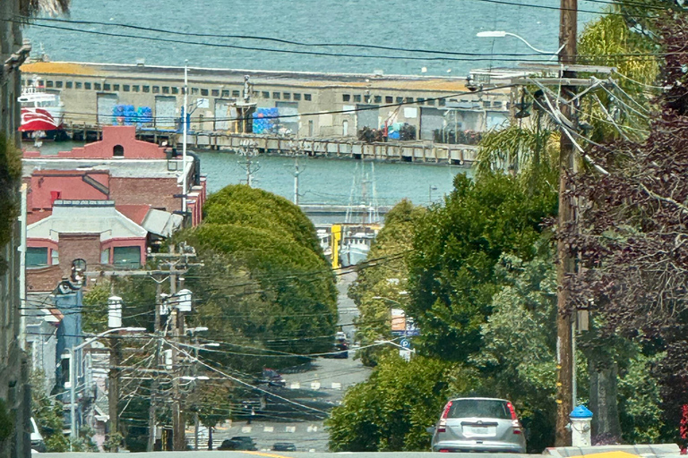 The San Francisco Tour Co. Prywatna luksusowa wycieczka ekologiczna po mieścieSan Francisco Tour Co. Prywatna luksusowa wycieczka ekologiczna po mieście