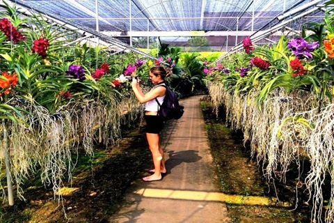 Temple de Doi Suthep, ferme d&#039;orchidées et cascade de Sticky avec déjeuner