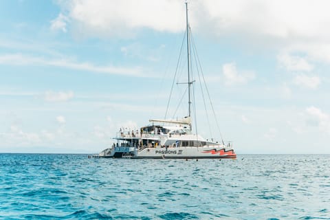 From Cairns: Great Barrier Reef Cruise by Premium Catamaran