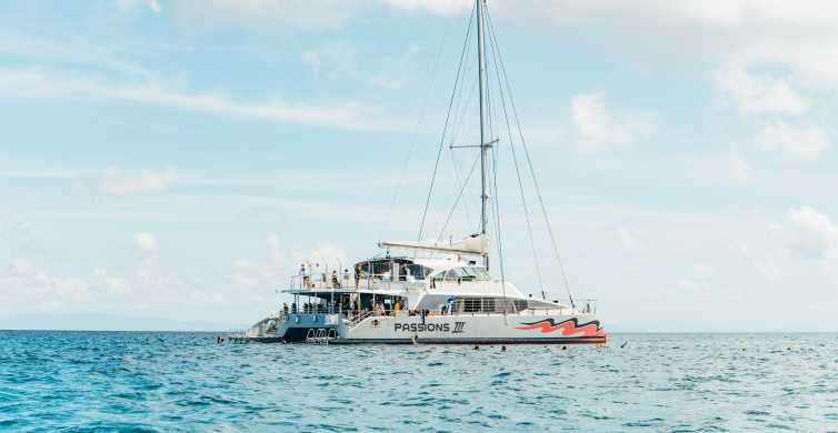 From Cairns Great Barrier Reef Cruise by Premium Catamaran GetYourGuide