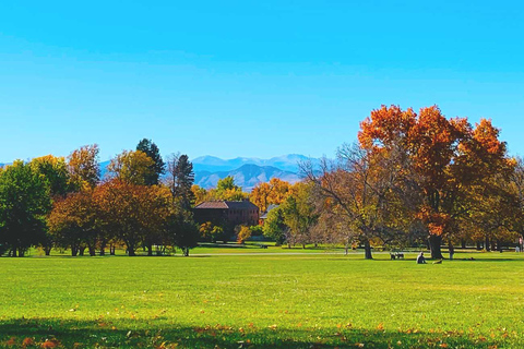 Denver City Highlights Tour