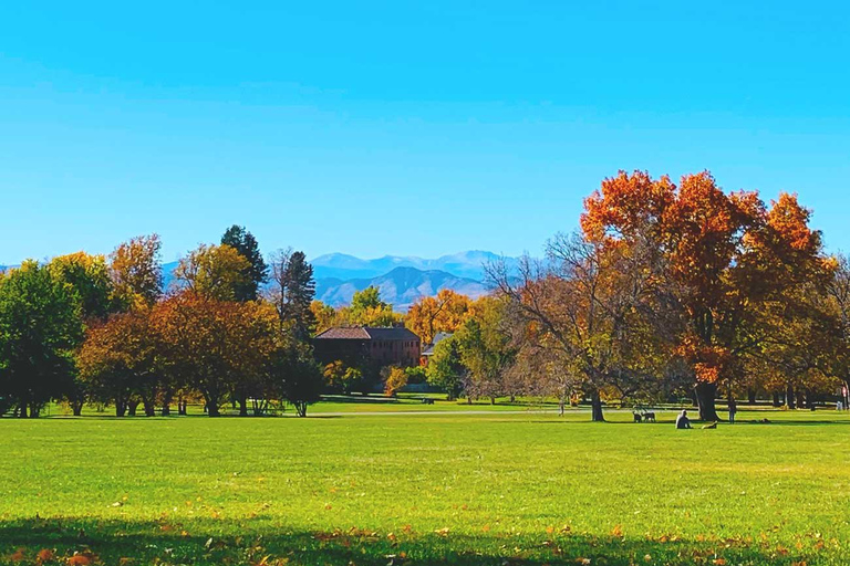 Denver City Highlights Tour