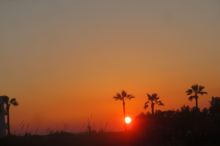 From Hersonissos/Malia: Guided Sunset Quad Safari