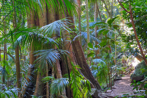 Från Brisbane: Tamborine Mountain och Paradise Point Tour