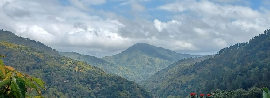EXCURSION AUX BLUE MOUNTAINS AU DÉPART D'OCHO RIOS