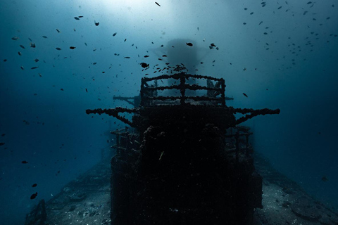 Sunshine Coast: Immersione subacquea nel relitto della nave ex-HMAS di Brisbane