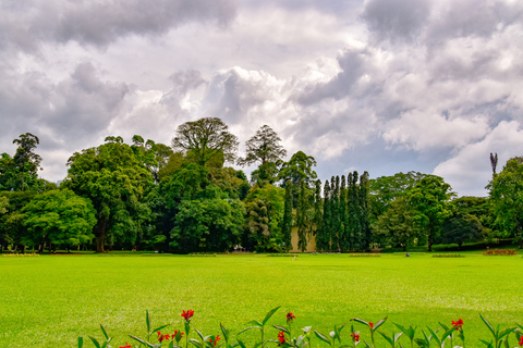 From Kandy: 4-Day Sri Lanka Hill Country Tour with Udawalawe