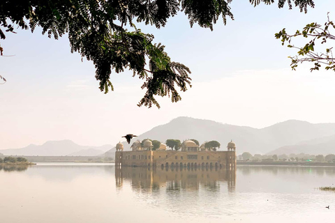 Jaipur : Visite privée d&#039;une journée à Jaipur avec guide