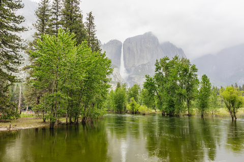 From San Francisco: Yosemite National Park Tour in English