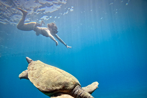 Zakynthos: SUP Tour – Turtle Spotting Adventure