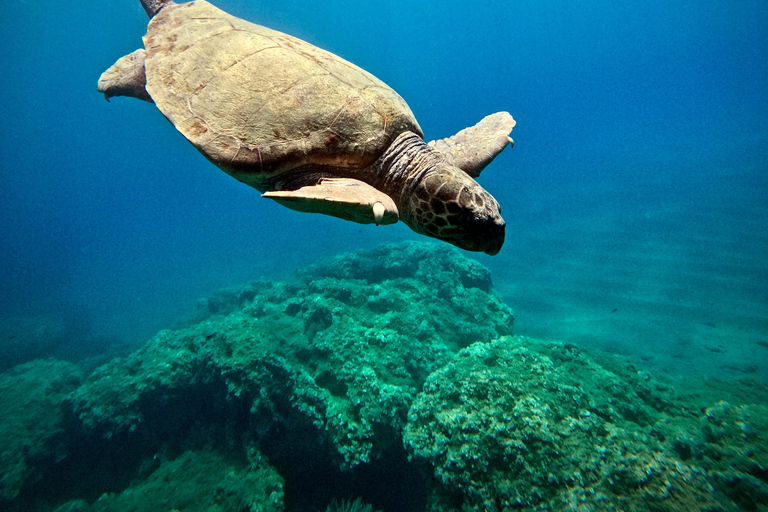 Zakynthos: SUP Tour – Turtle Spotting Adventure