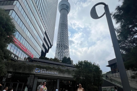 Tour privado de Tokio de día completo con conductor de habla inglesa