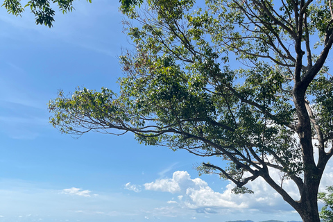 Phuket: City Highlights Half-Day Tour with Guide