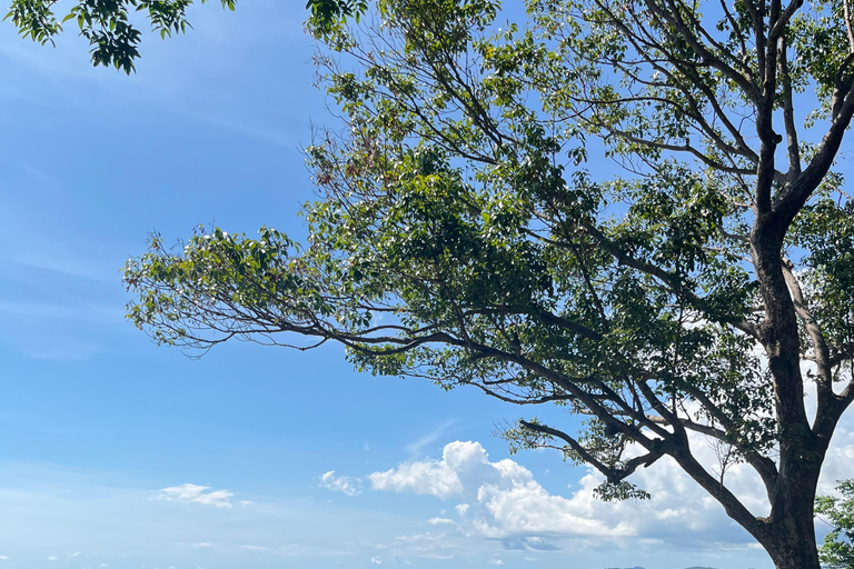 Phuket: City Highlights Half-Day Tour with Guide