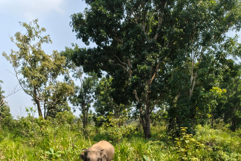 Hurulu Eco Park Elephant Safari & Lake View Tour - Sigiriya Hurulu Park Private Safari & Lake View Tour - Jeep Fee Only