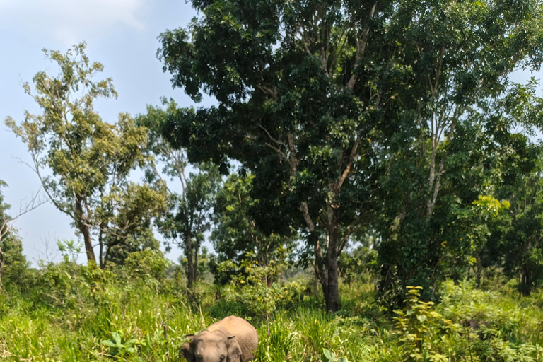 Hurulu Eco Park Elephant Safari & Lake View Tour - Sigiriya Hurulu Park Private Safari & Lake View Tour - Jeep Fee Only