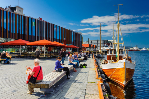 Bergen: Osterøy E-Bike Tour, Fjord Safari & Lunch