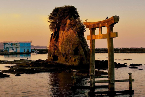 From Osaka/Kyoto: Mt. Koya & Nachi Falls Private Day Trip