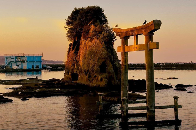 From Osaka/Kyoto: Mt. Koya & Nachi Falls Private Day Trip