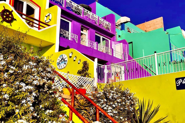 Agadir: Tamraght, Taghazout und Aghroud – Tour mit GuideAgadir: Tamraght, Taghazout und Aghroud Tour mit Guide