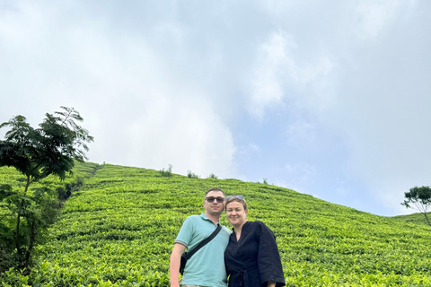 Excursão de dia inteiro a Ella saindo de Mirissa/Ahangama/Hikkaduwa/BentotaExcursão de dia inteiro a Ella a partir de Mirissa/Ahangama/Hikkaduwa/Bentota