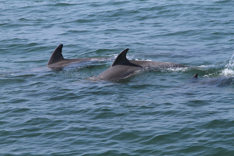 Agadir Bootsfahrt Angeln & Schwimmen Abenteuer