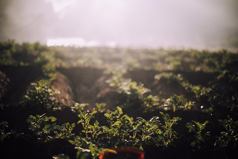 Bhaktapur: 3-Day Herb Nepal Farm Stay with Meals