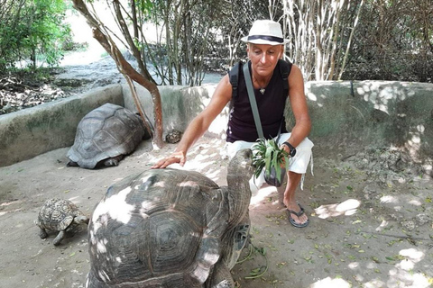 Zanzibar: Nungwi kilosa Conservation zoo half day tour Private tour for the gusts from Nungwi only