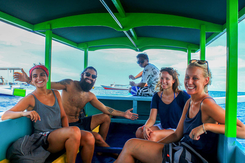 Gili Trawangan: Public Snorkeling Tour with Turtles and BBQ Public Snorkeling Tour with Turtles