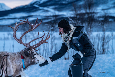 From Tromsø: Sami Culture and Reindeer Feeding