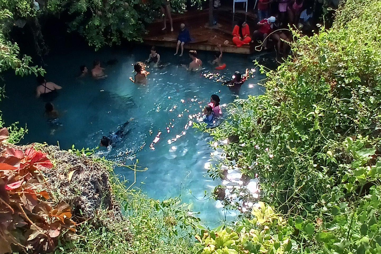 ZANZIBAR: Bosque de Jozani y cueva de Saalam